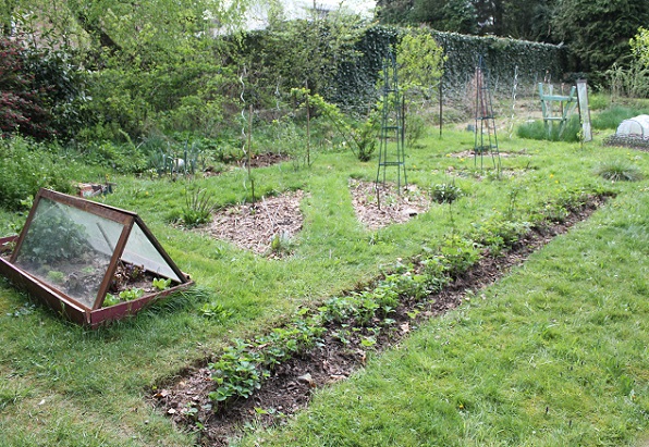 fraiseraie 1 2704.JPG