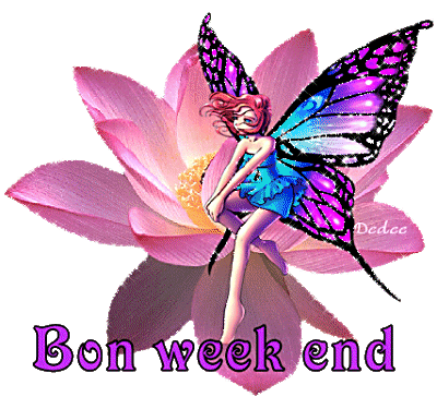 image fée.gif