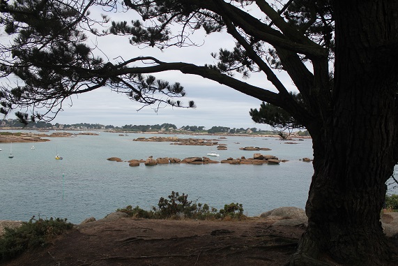 bretagne 2015 A 298.JPG