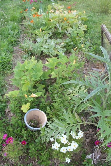 courges 0208.JPG