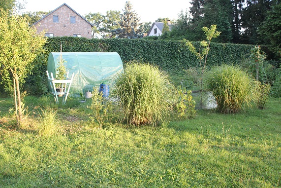 jardin 0208.JPG