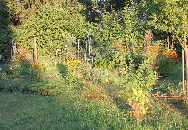 potager 0208.JPG