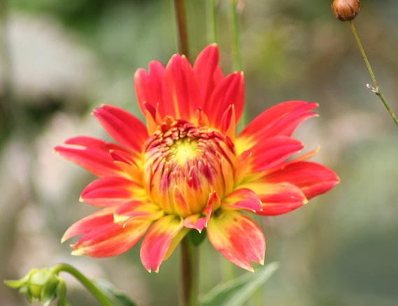 aout 9 002.JPG