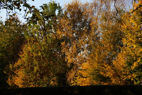 DSC06722.JPG