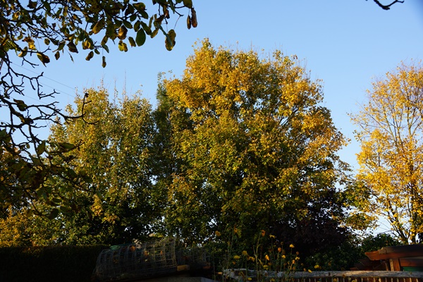 DSC06723.JPG