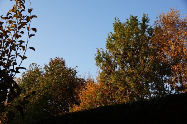 DSC06737.JPG