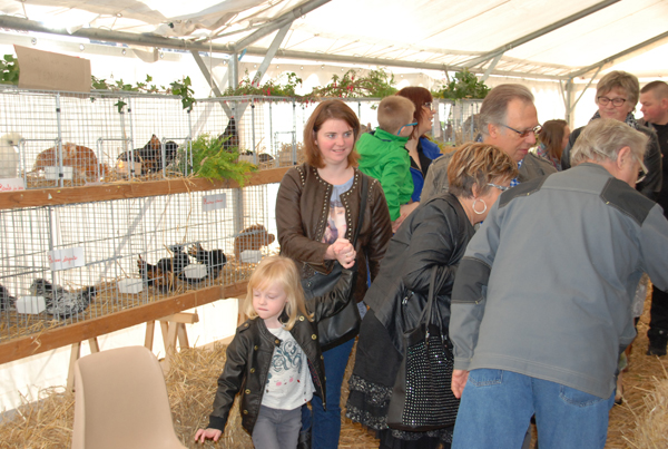 On retrouve la société avicole de Nœux les Mines qui ouvre sa saison à la Fête des Jardiniers