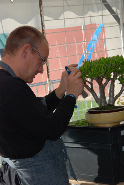 Vincent en pleine taille