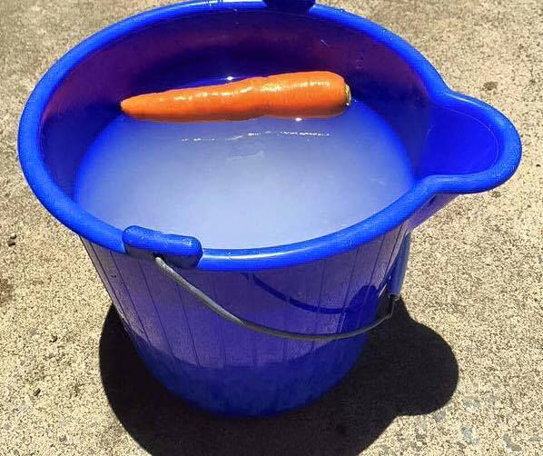 bonhomme_de_neige_fondu.jpg