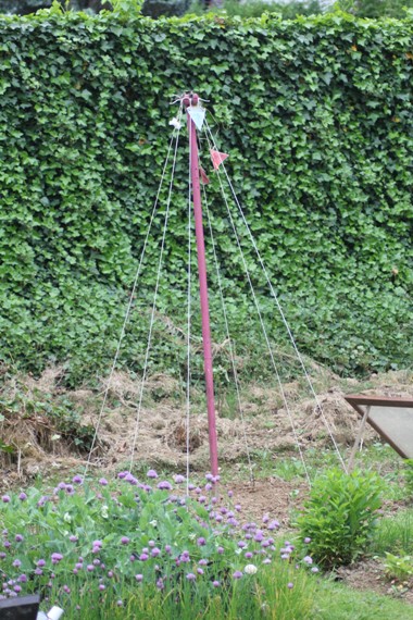 tipi%202205.jpg