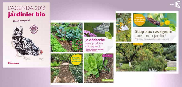 livre-1.jpg