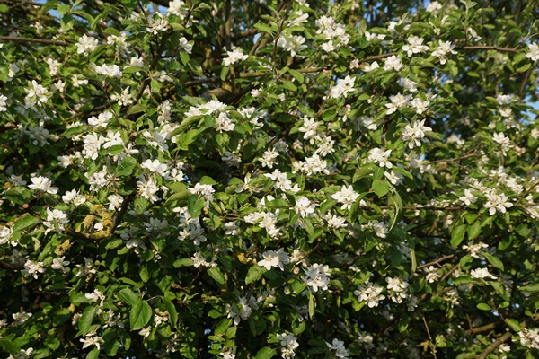 DSC07175.JPG