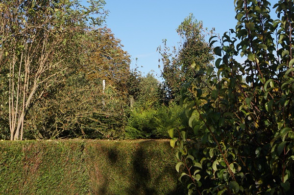 DSC07818.JPG