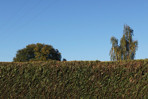 DSC07826.JPG