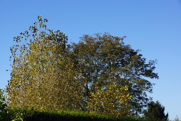 DSC07860.JPG