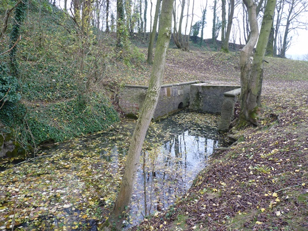 P1040243.JPG