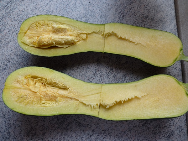 coupe de courgette longue de Nice