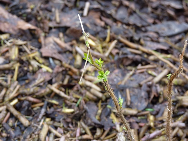 P1050270.JPG
