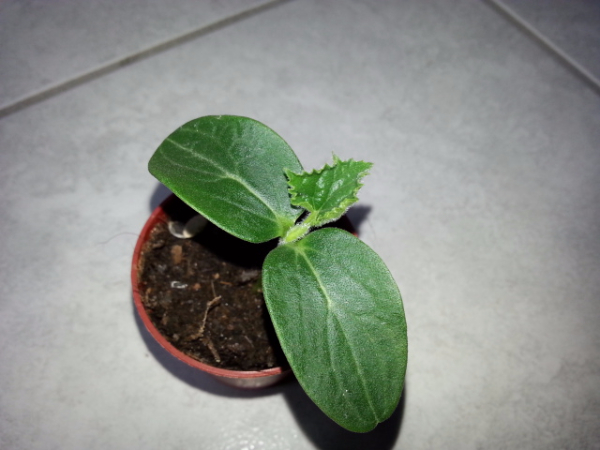 20170321_114918[1].jpg