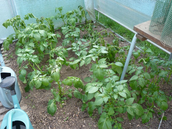 P1050974.JPG