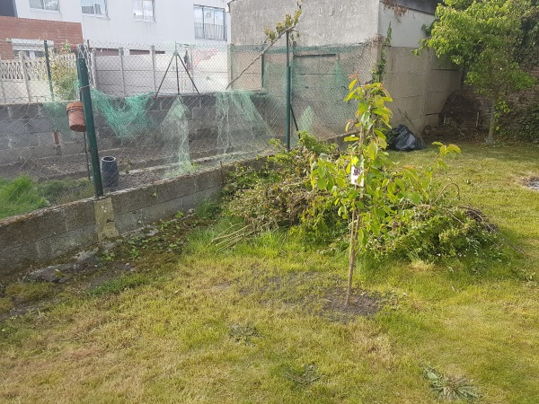 panoramique_gauche_03.jpg