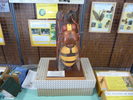 P1000484.JPG