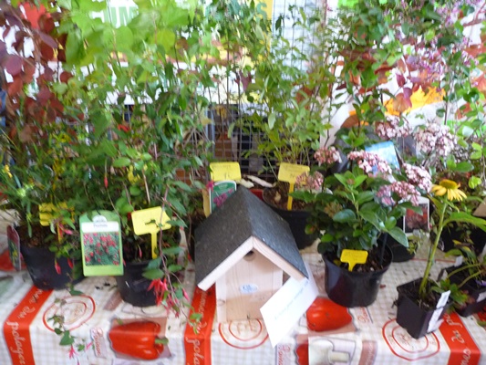 P1000732.JPG