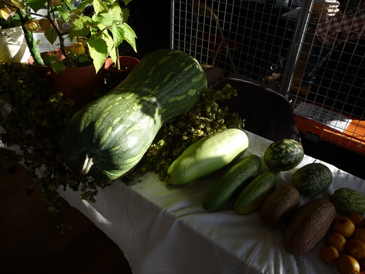 P1000734.JPG