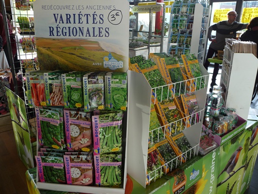 P1000736.JPG