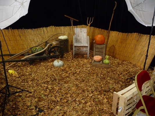 P1000738.JPG