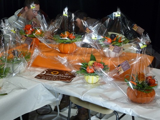 P1000739.JPG