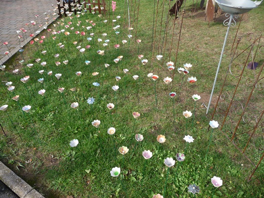 P1000743.JPG