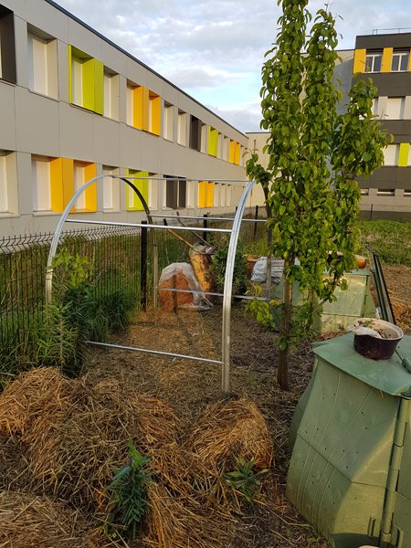 01_serre_tomate.jpg