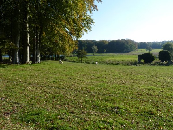 campagne Picarde