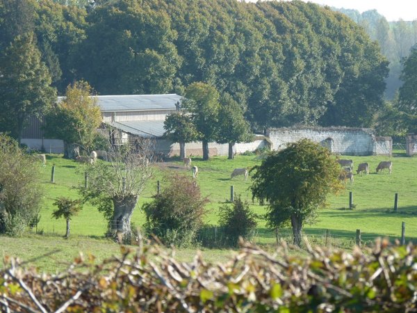 ferme en Pas de Calais