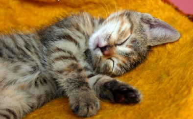 week_end_08.jpg