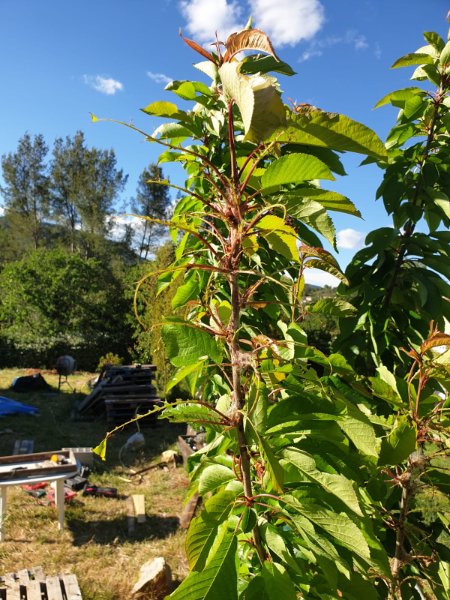 IMG-20190511-WA0008.jpg