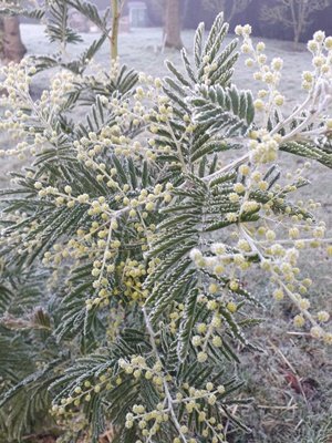 200121_095020_7.jpeg