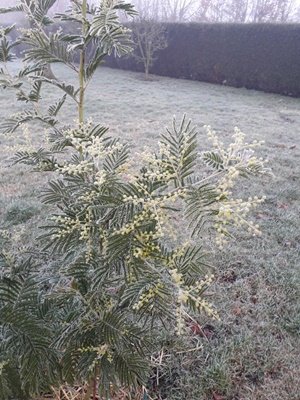 200121_095020_9.jpeg