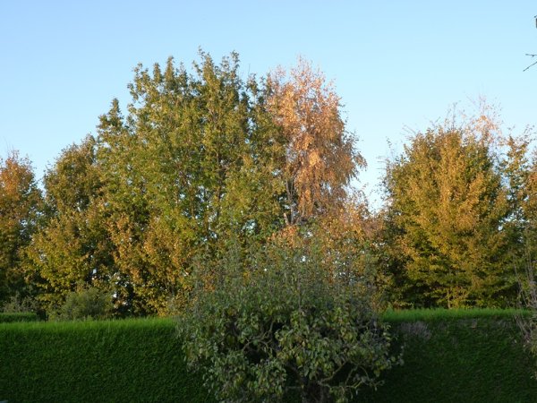 P1160232.JPG