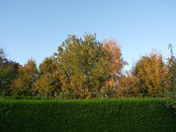 P1160237.JPG