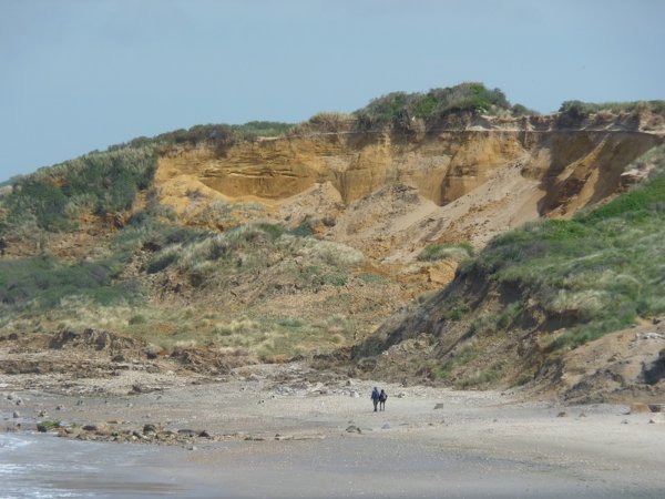 Dunes de la Slack (62) victimes de l'érosion