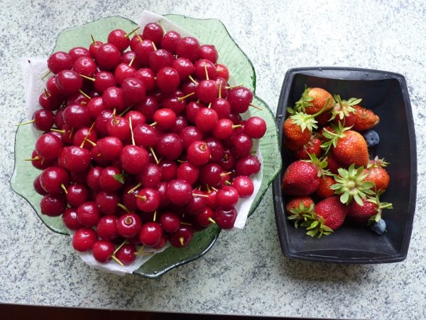 P1220157.JPG
