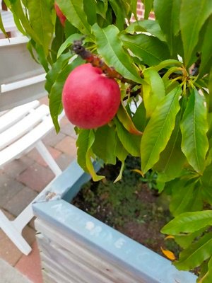image0000011 (1).jpg