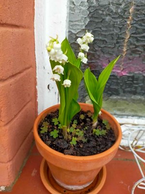 image0000031 (2).jpg
