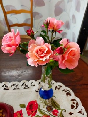 IMG_20250531_193634.jpg