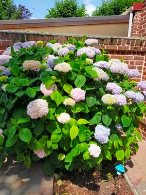 image0000021 (1) (1).jpg
