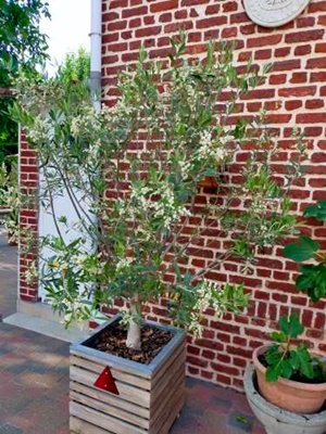 image0000041 (5).jpg