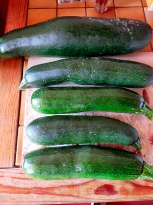 image0000071 (2).jpg
