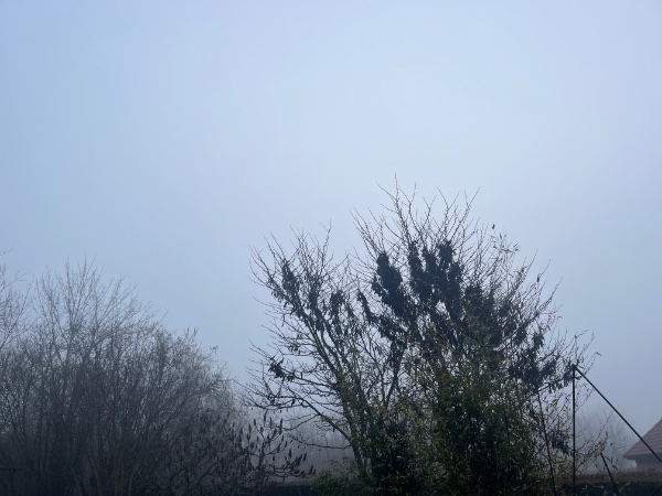IMG_1539.jpeg